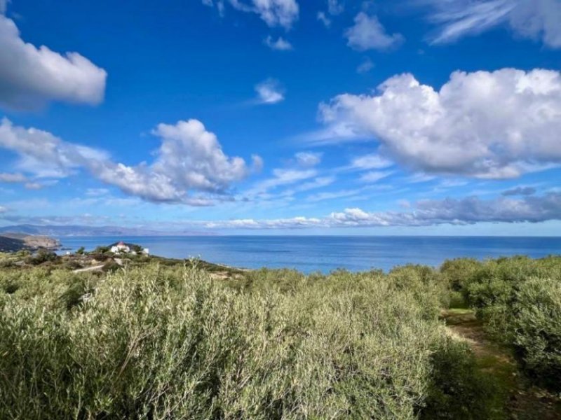 Mochlos Kreta, Mochlos: Grundstück mit Meerblick zu verkaufen Grundstück kaufen